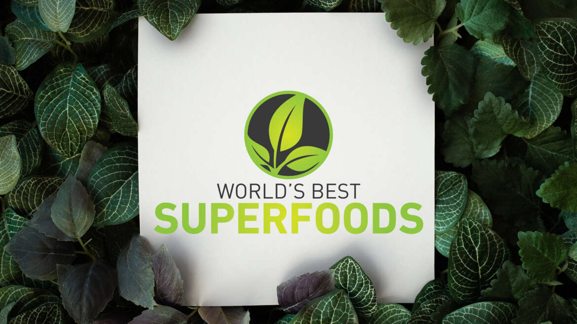 Logo: wbs