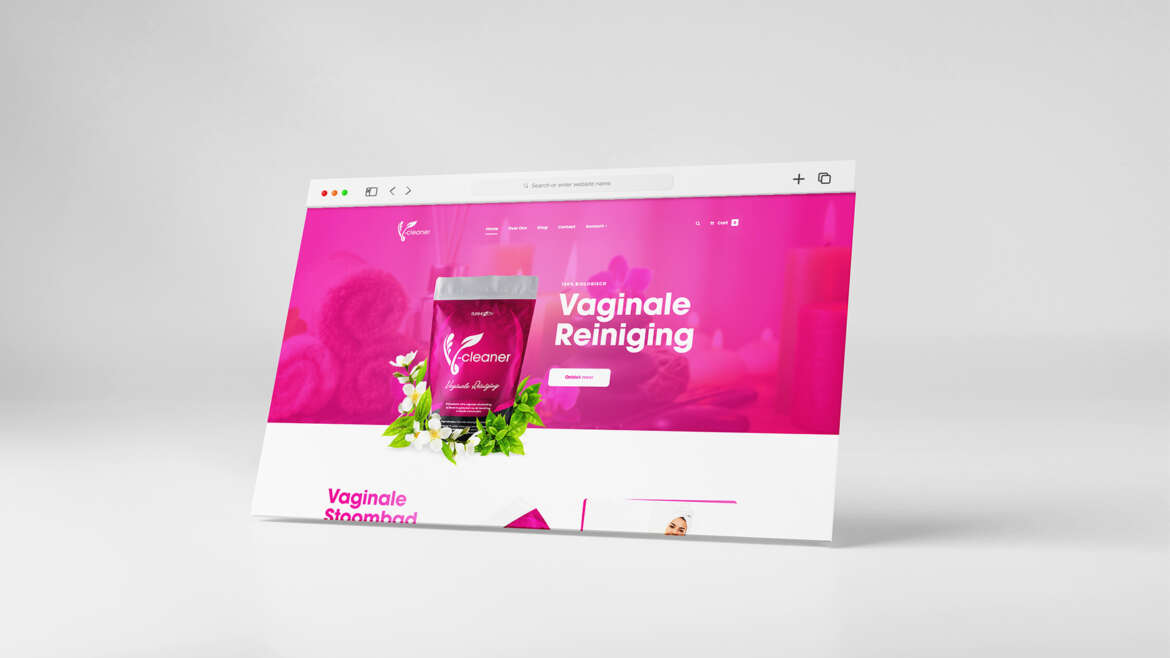Website template: v-cleaner